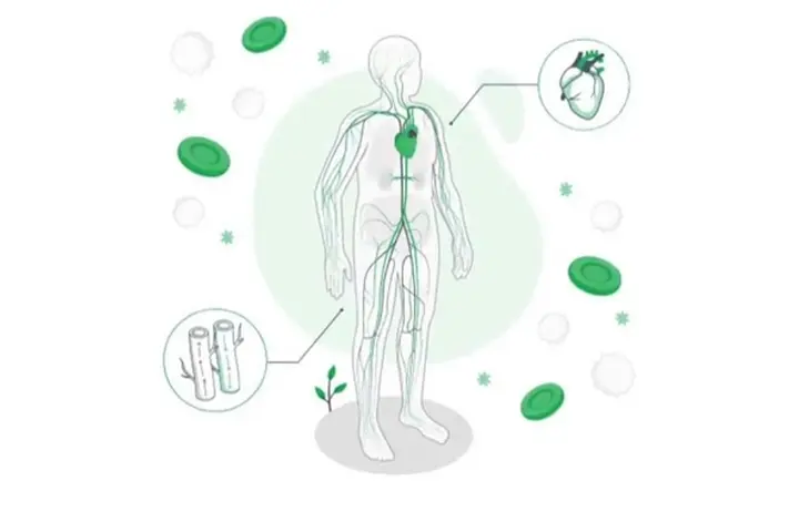 株式会社Gel Coat Biomaterials