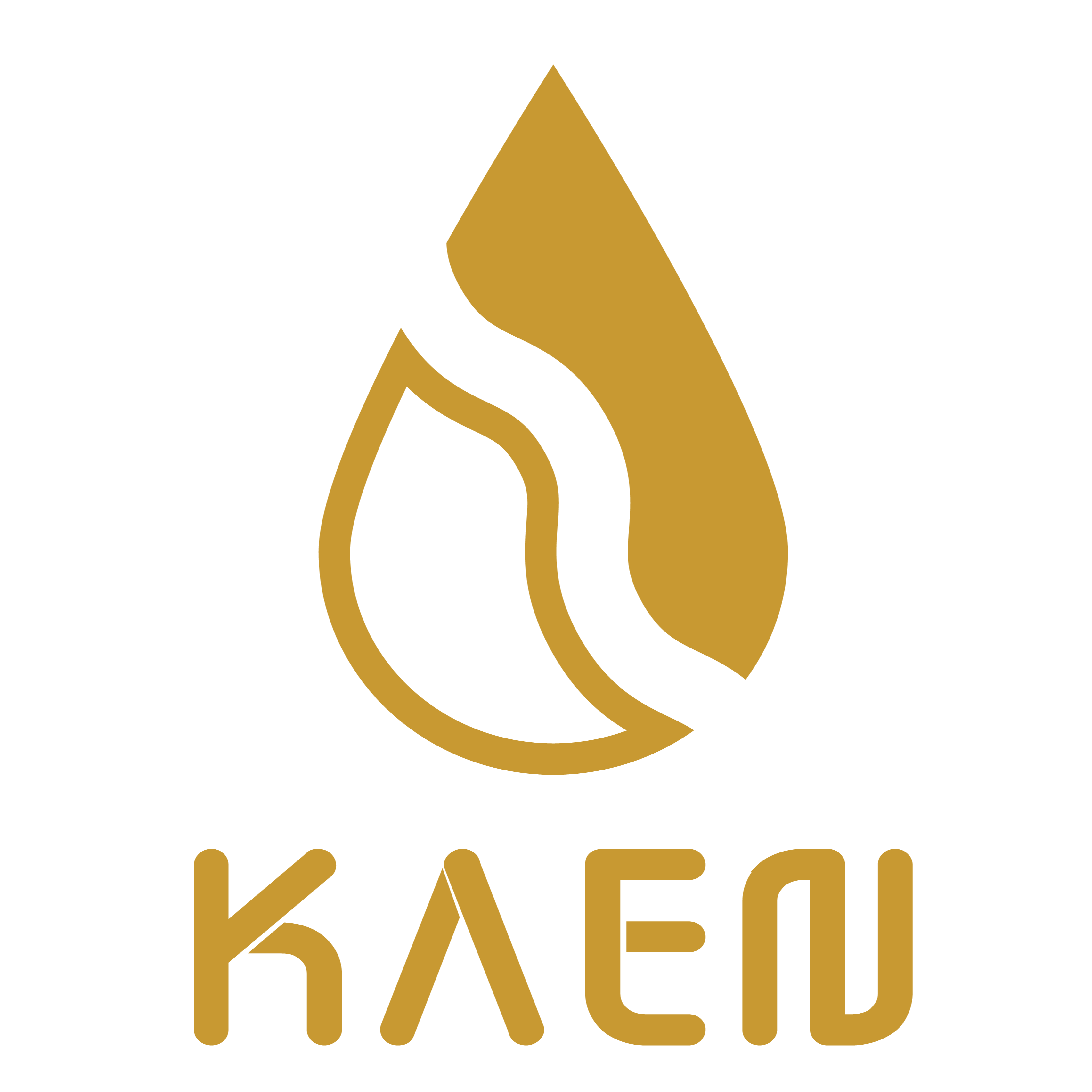 株式会社KAEN